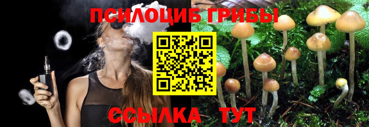 Ярцево  купить наркотики цена  Вход с VPN  Псилоцибиновые грибы GOLDEN TEACHER  Псилоцибиновые грибы Psilocybe 