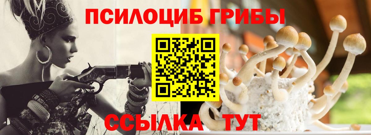 Псилоцибиновые грибы прущие грибы Ярцево